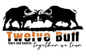 Twelve Buff Tours and Safaris