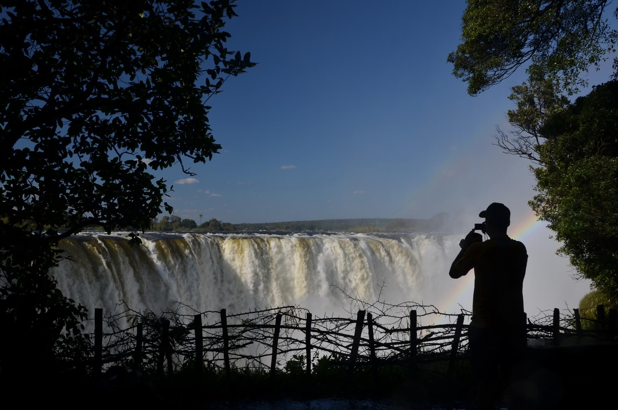Guided walk through the Victoria Falls rainforest